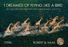 Robert Haas, Robert B. Haas, Robert Haas, Robert B. Haas - I Dreamed of Flying Like a Bird