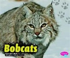 Jennifer L Marks, Jennifer L. Marks, Gail Saunders-Smith - Bobcats