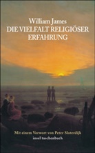 William James - Die Vielfalt religiöser Erfahrung