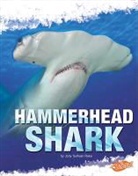 Jody S. Rake, Jody Sullivan Rake, Jody Sullivan/ Shores Rake - Hammerhead Shark