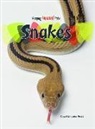 Sonia Hernandez-Divers - Snakes
