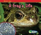 Nancy Dickmann - A Frog's Life