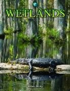 Richard Beatty - Wetlands