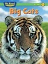 Bruce Johnson - Big Cats