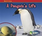 Nancy Dickmann - A Penguin's Life