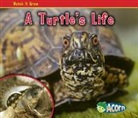 Nancy Dickmann - A Turtle's Life
