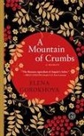 Elena Gorokhova - A Mountain of Crumbs