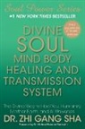 Zhi Gang Sha - Divine Soul Mind Body Healing and Transmission Systems