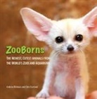 Andrew Bleiman, Andrew/ Eastland Bleiman, Chris Eastland - Zooborns