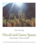Hans Domenig - Überall sind Gottes Spuren