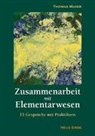 Thomas Mayer - Zusammenarbeit mit Elementarwesen