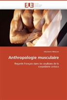 Stéphane Malysse, Malysse-S - Anthropologie musculaire