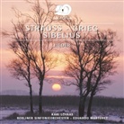 Edvard Grieg, Jean Sibelius, Richard Strauss - Strauss - Grieg - Sibelius, Audio-CD (Audio book)
