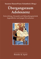 Juliane Bründl, Peter Bründl, Yecheskie Cohen, Susann Hauser, Susanne Hauser, Schambeck... - Übergangsraum Adoleszenz