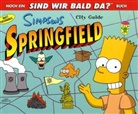 Matt Groening, Bill Morrison - Simpsons City Guide Springfield