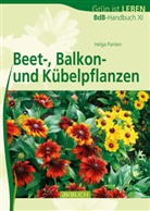 Helga Panten - Beet-, Balkon- und Kübelpflanzen