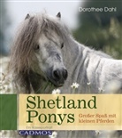 Dorothee Dahl - Shetlandponys
