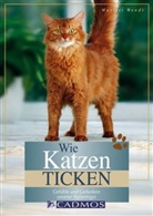 Marlitt Wendt - Wie Katzen ticken
