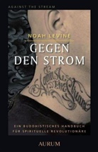 Noah Levine - Gegen den Strom