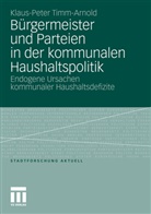 Klaus-Peter Timm-Arnold, Peter Timm-Arnold - Bürgermeister und Parteien in der kommunalen Haushaltspolitik