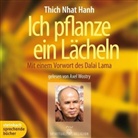 Thich Nhat Hanh, Axel Wostry - Ich pflanze ein Lächeln, 3 Audio-CDs (Audiolibro)