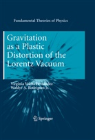 Virginia Velm Fernández, Virginia Velma Fernández, Waldyr A Rodrigues, Waldyr A. Rodrigues - Gravitation as a Plastic Distortion of the Lorentz Vacuum