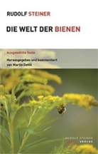 Rudolf Steiner, Michael Bader, Martin Dettli - Die Welt der Bienen