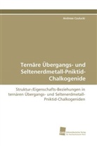 Andreas Czulucki - Ternäre Übergangs- und Seltenerdmetall-Pniktid-Chalkogenide