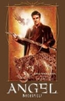 Kelley Armstrong, Joss Whedon - Angel - Nachspiel