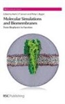 Mark S P (University of Oxford Sansom, Mark S P Biggin Sansom, Mark S. P. Sansom, Mark S.p. Biggin Sansom, Philip C Biggin, Philip C (University of Oxford Biggin... - Molecular Simulations and Biomembranes