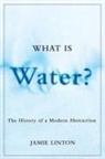 Jamie Linton - What Is Water?