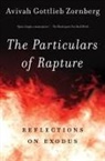Avivah Gottlieb Zornberg - The Particulars of Rapture