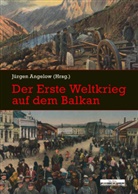 Gundul Gahlen, Gundula Gahlen, Olive Stein, Oliver Stein, Jürge Angelow, Jürgen Angelow - Der Erste Weltkrieg auf dem Balkan