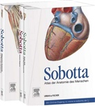 Friedric Paulsen, Friedrich Paulsen, Johannes Sobotta, Jen Waschke, Jens Waschke, Katja Dalkowski... - Atlas der Anatomie des Menschen - 1-3 u. Tab.: Sobotta, Atlas der Anatomie des Menschen, 3 Bde und Tabellenheft im Schuber, inklusive Zugang zur Sobotta-Website