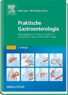 LAYE, Pete Layer, Peter Layer, Rosie, Rosien, Ulrich Rosien - Praktische Gastroenterologie