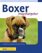 Manuel Fritz - Boxer