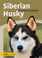 Michae Ebardt, Michael Ebardt, Ebardt-Heidt, Sim Ebardt-Heidt, Simone Ebardt-Heidt, Michael Ebhardt... - Siberian Husky