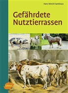 Hans H. Sambraus, Hans Hinrich Sambraus - Gefährdete Nutztierrassen