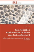 Xuan Hong VU, Vu-x - Caracterisation experimentale du