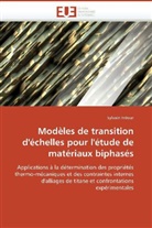 Sylvain Fréour, Freour-S - Modeles de transition d echelles