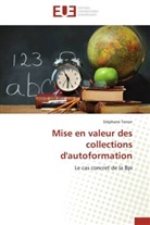Stéphane Tonon, Tonon-S - Mise en valeur des collections d
