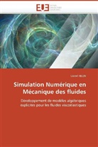 Lionel HELIN - Simulation Numérique en Mécanique des fluides