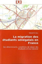 Magatte Fall - La migration des étudiants sénégalais en France