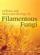 Katherine Borkovich, Katherine A. Borkovich, Daniel J Ebbole, Daniel J. Ebbole, Katherine Borkovich, Katherine A. Borkovich... - Cellular and Molecular Biology of Filamentous Fungi