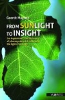 Geerdt Magiels - From Sunlight to Insight