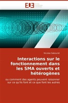 Nicolas Sabouret, Sabouret-N - Interactions sur le