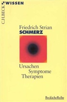 Friedrich Strian - Schmerz