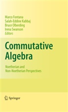 Marco Fontana, Salah-Eddin Kabbaj, Salah-Eddine Kabbaj, Bruce Olberding, Bruce Olberding et al, Irena Swanson - Commutative Algebra