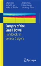 Kirby I. Bland, M. D. Büchler, Markus W. Büchler, Attila Csendes, Michae G Sarr, Michael G Sarr... - Surgery of the Small Bowel