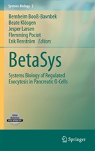 Bernhelm Booss-Bavnbek, Beate Kloesgen, Beat Klösgen, Beate Klösgen, Jesper Larsen, Jesper Larsen et al... - BetaSys